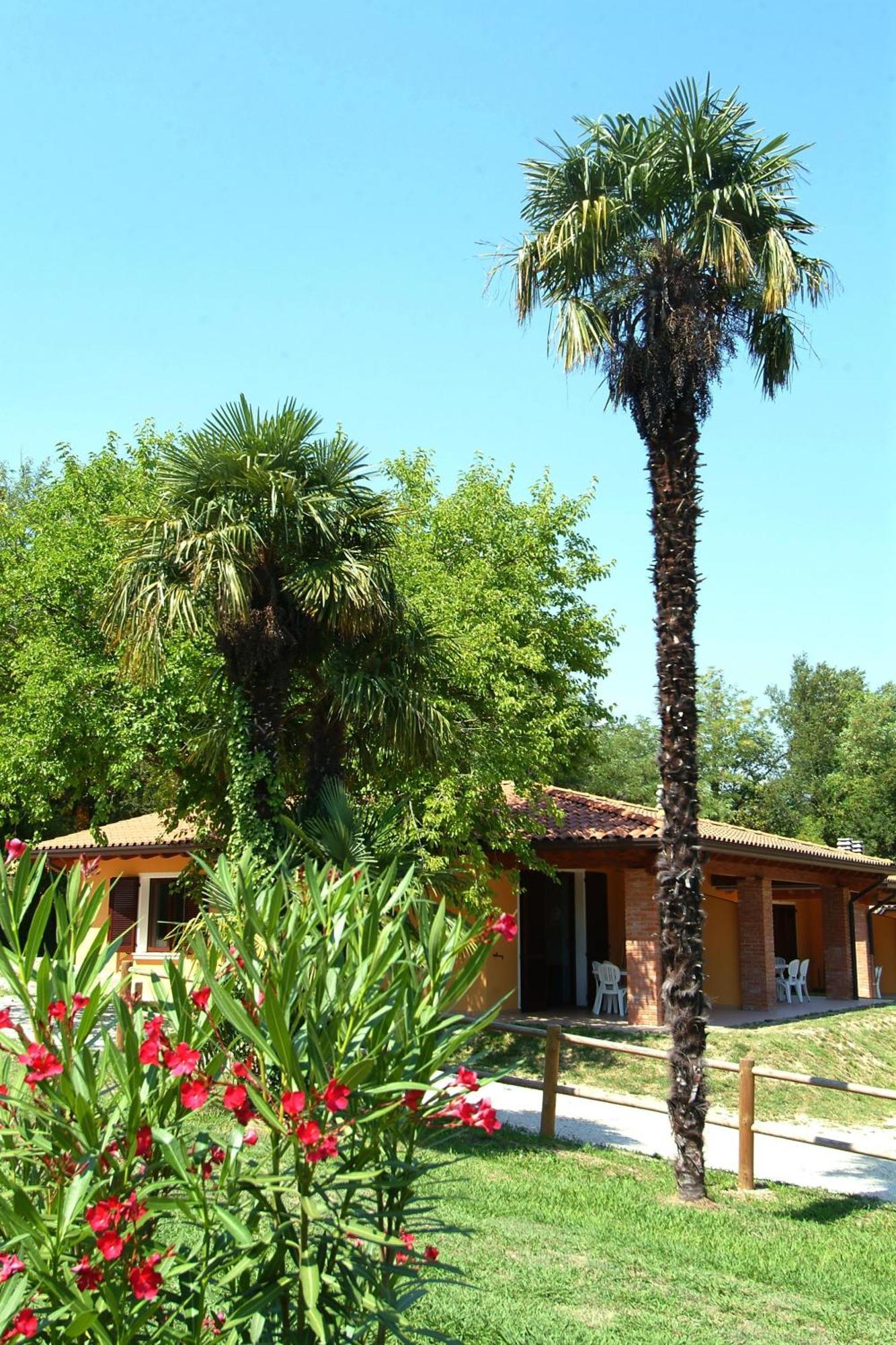 Zocco Manerba del Garda